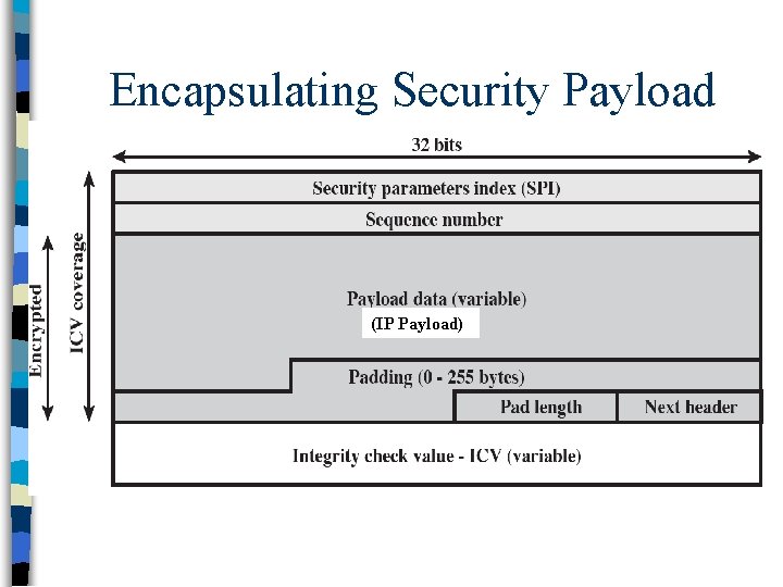 Encapsulating Security Payload (IP Payload) 