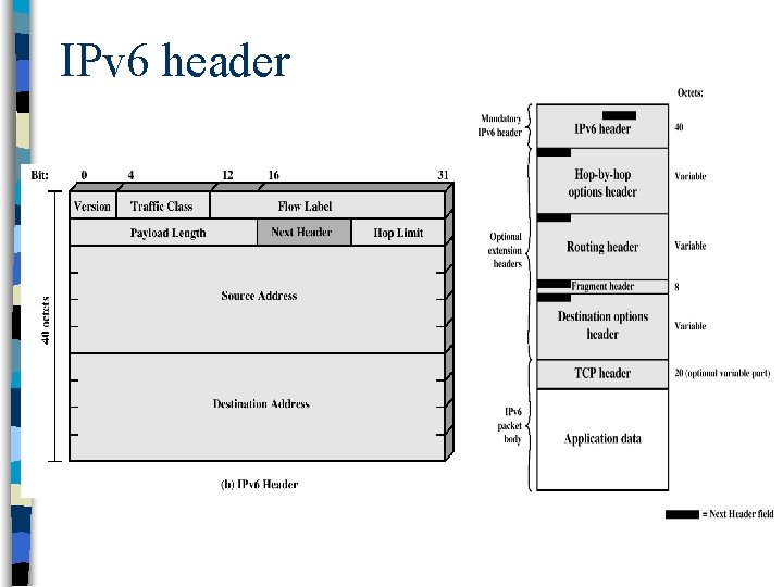 IPv 6 header 