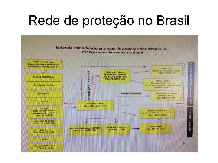 Rede de proteção no Brasil 