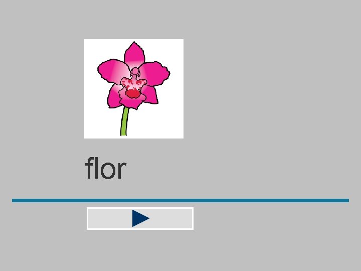 flor 