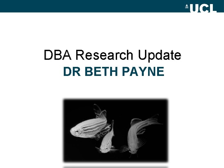 DBA Research Update DR BETH PAYNE 