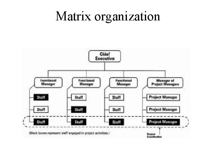 Matrix organization 