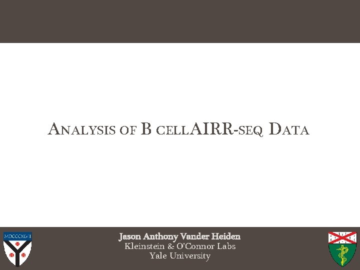 ANALYSIS OF B CELLAIRR-SEQ DATA Jason Anthony Vander Heiden Kleinstein & O’Connor Labs Yale