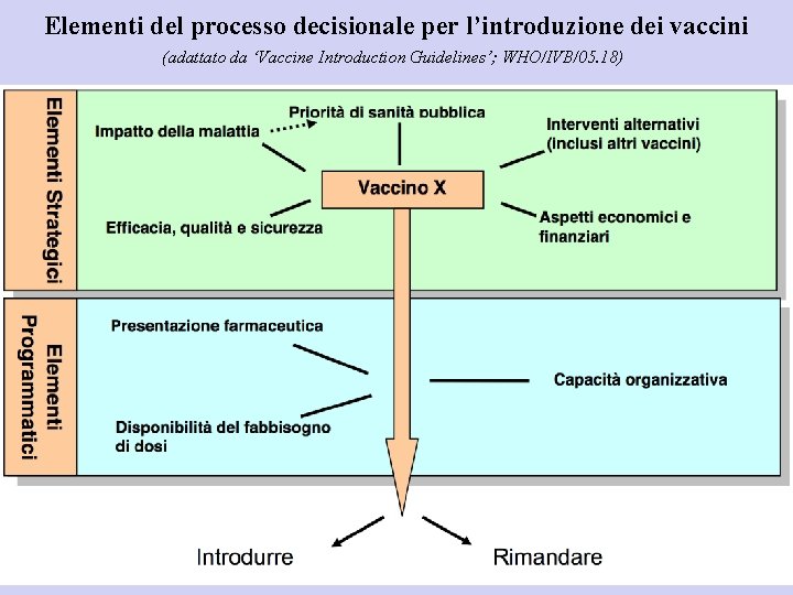 Elementi del processo decisionale per l’introduzione dei vaccini (adattato da ‘Vaccine Introduction Guidelines’; WHO/IVB/05.