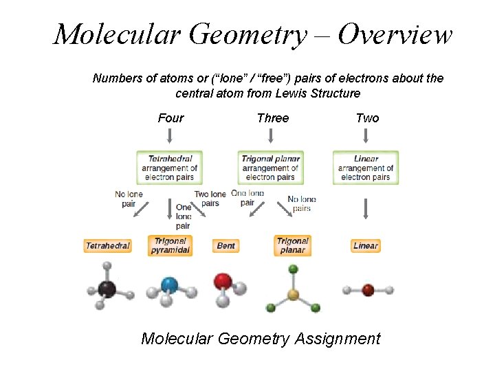 Molecular Geometry – Overview Numbers of atoms or (“lone” / “free”) pairs of electrons