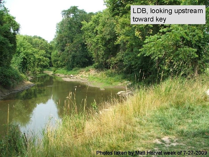 LDB, looking upstream toward key Photos taken by Matt Horvat week of 7 -27