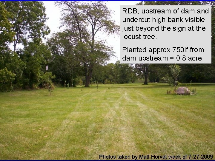 RDB, upstream of dam and undercut high bank visible just beyond the sign at