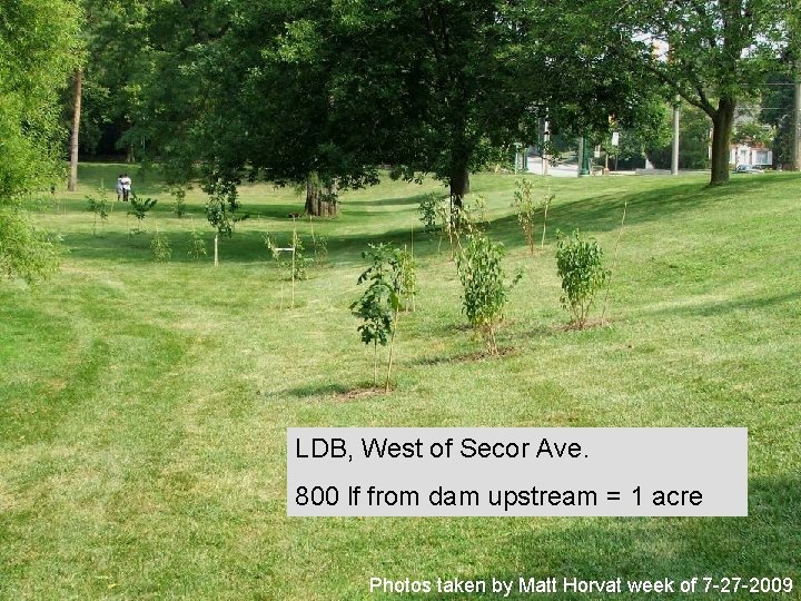 LDB, West of Secor Ave. 800 lf from dam upstream = 1 acre Photos