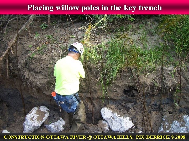 Placing willow poles in the key trench CONSTRUCTION-OTTAWA RIVER @ OTTAWA HILLS. PIX-DERRICK 8