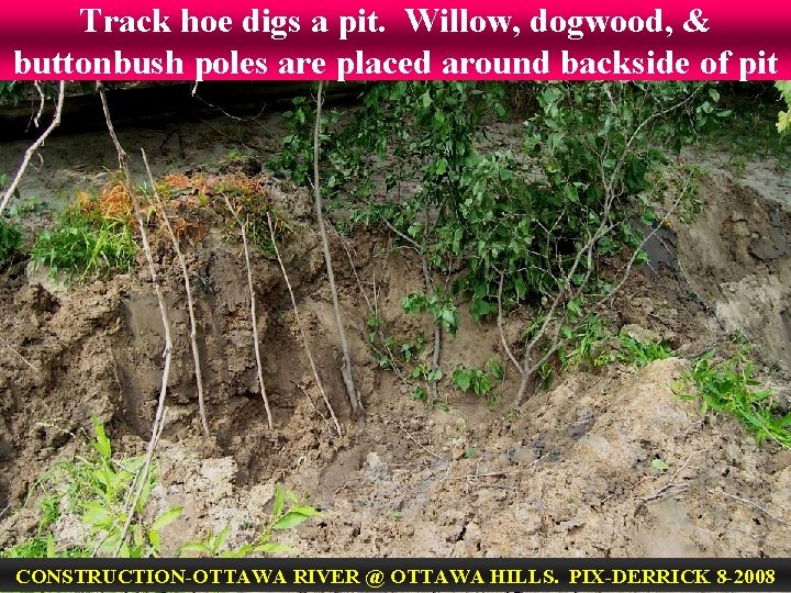 Track hoe digs a pit. Willow, dogwood, & buttonbush poles are placed around backside