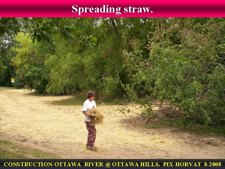 Spreading straw. CONSTRUCTION-OTTAWA RIVER @ OTTAWA HILLS. PIX-HORVAT 8 -2008 