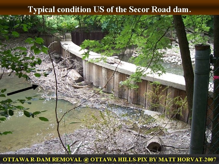 Typical condition US of the Secor Road dam. OTTAWA R-DAM REMOVAL @ OTTAWA HILLS-PIX