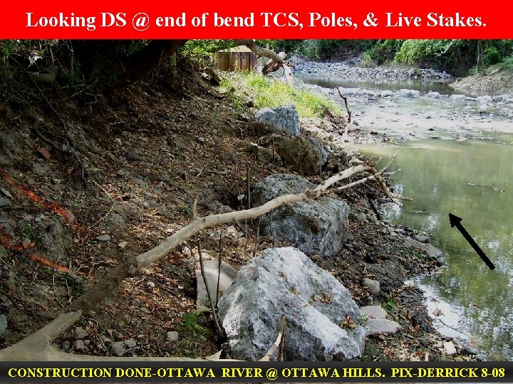 Looking DS @ end of bend TCS, Poles, & Live Stakes. CONSTRUCTION DONE-OTTAWA RIVER
