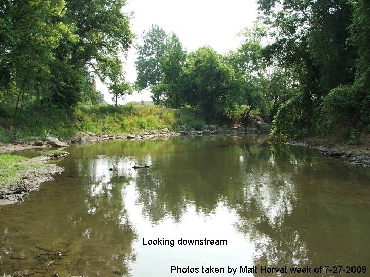 Looking downstream Photos taken by Matt Horvat week of 7 -27 -2009 