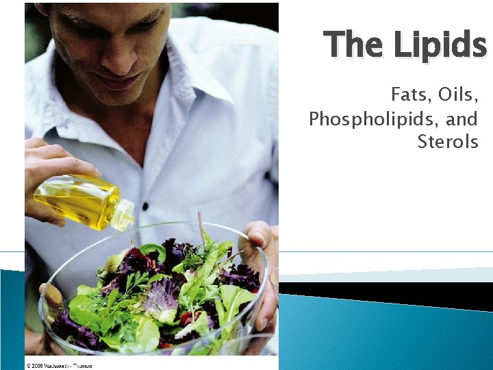 The Lipids Fats, Oils, Phospholipids, and Sterols The Lipids Fats, Oils, Phospholipids, and Sterols