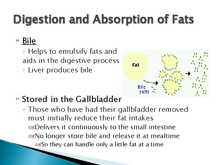 Digestion and Absorption of Fats Bile ◦ Helps to emulsify fats and aids in Digestion and Absorption of Fats Bile ◦ Helps to emulsify fats and aids in