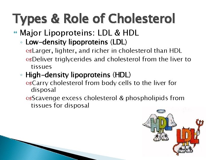 Types & Role of Cholesterol Major Lipoproteins: LDL & HDL ◦ Low-density lipoproteins (LDL) Types & Role of Cholesterol Major Lipoproteins: LDL & HDL ◦ Low-density lipoproteins (LDL)