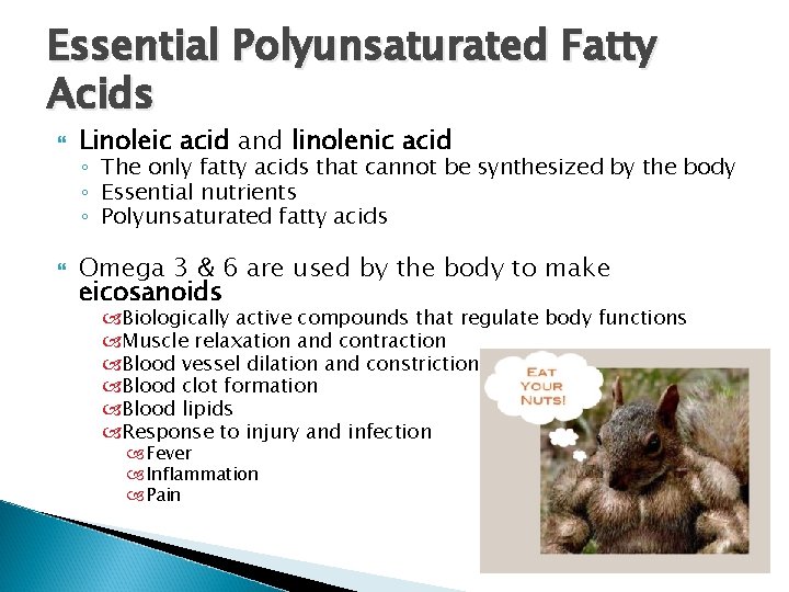 Essential Polyunsaturated Fatty Acids Linoleic acid and linolenic acid ◦ The only fatty acids Essential Polyunsaturated Fatty Acids Linoleic acid and linolenic acid ◦ The only fatty acids