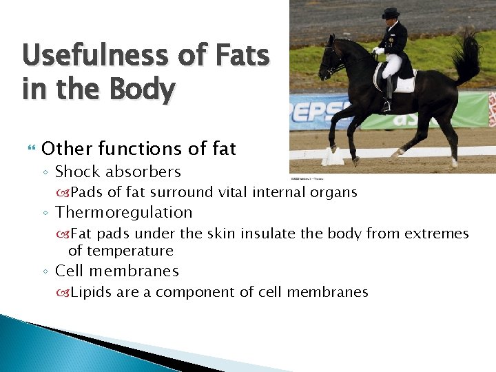 Usefulness of Fats in the Body Other functions of fat ◦ Shock absorbers Pads Usefulness of Fats in the Body Other functions of fat ◦ Shock absorbers Pads