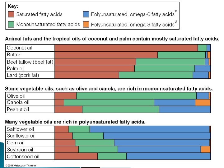 © 2006 Thomson-Wadsworth © 2006 Thomson-Wadsworth