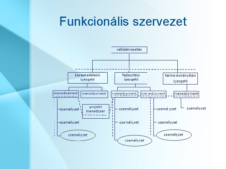 Funkcionális szervezet 