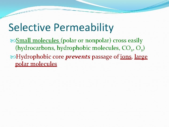 Selective Permeability Small molecules (polar or nonpolar) cross easily (hydrocarbons, hydrophobic molecules, CO 2,