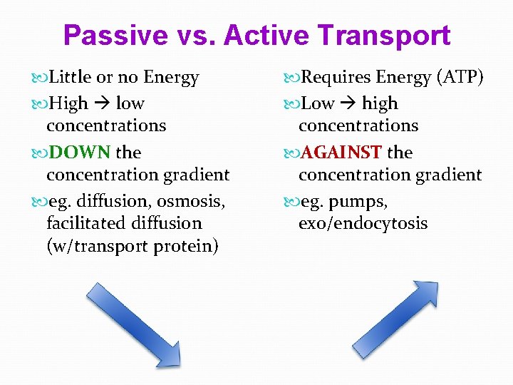 Passive vs. Active Transport Little or no Energy High low concentrations DOWN the concentration