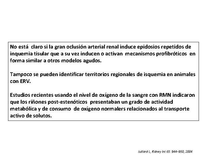 No está claro si la gran oclusión arterial renal induce epidosios repetidos de inquemia