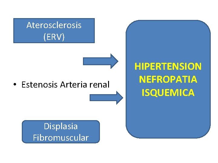 Aterosclerosis (ERV) • Estenosis Arteria renal Displasia Fibromuscular HIPERTENSION NEFROPATIA ISQUEMICA 