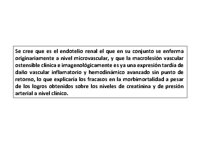 Se cree que es el endotelio renal el que en su conjunto se enferma