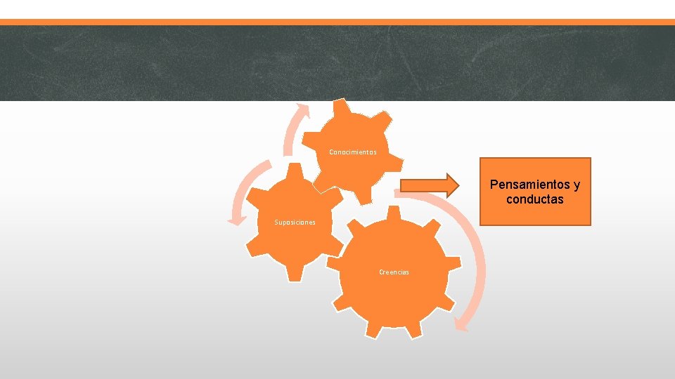 Conocimientos Pensamientos y conductas Suposiciones Creencias 
