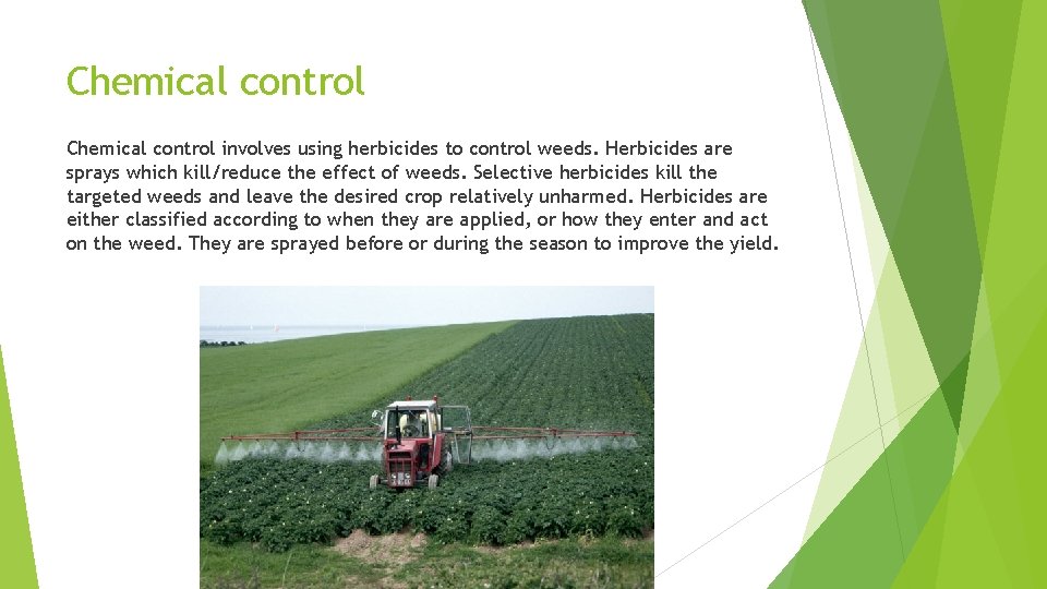 Chemical control involves using herbicides to control weeds. Herbicides are sprays which kill/reduce the