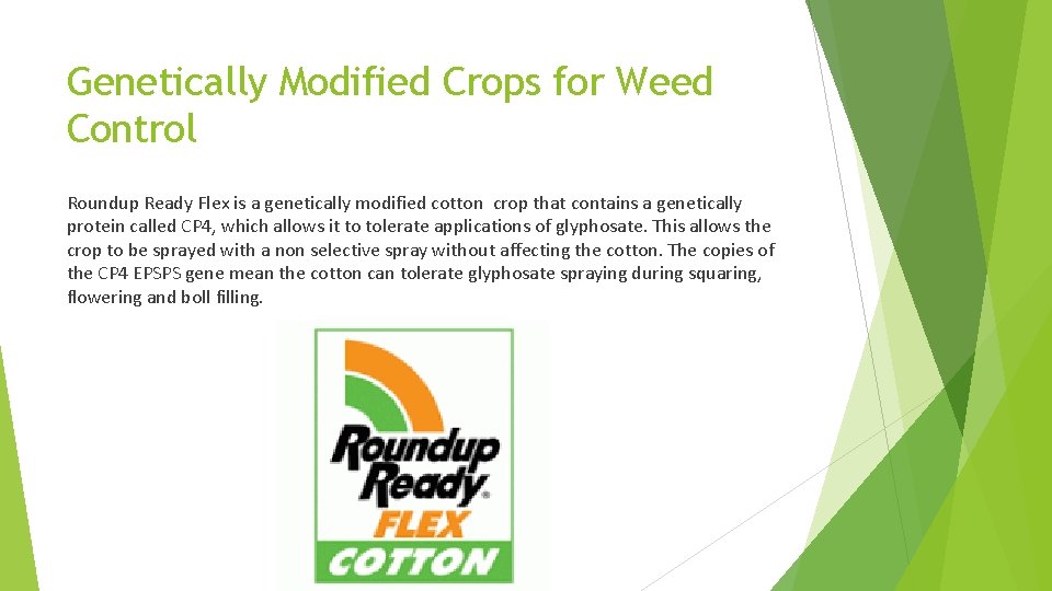 Genetically Modified Crops for Weed Control Roundup Ready Flex is a genetically modified cotton
