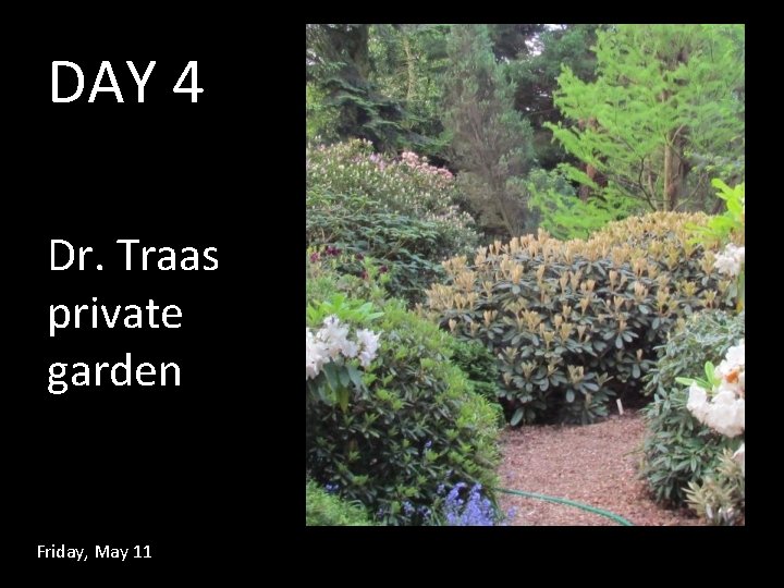 DAY 4 Dr. Traas private garden Friday, May 11 