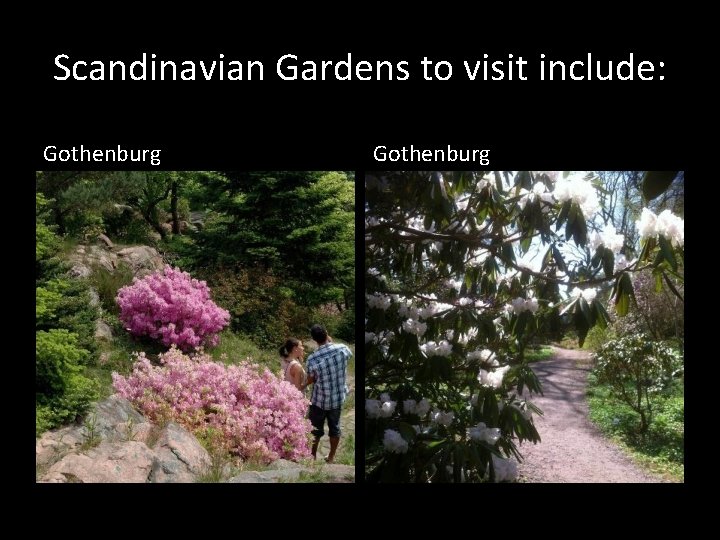 Scandinavian Gardens to visit include: Gothenburg 