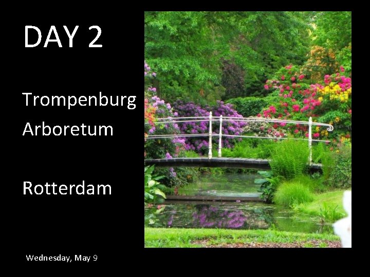 DAY 2 Trompenburg Arboretum Rotterdam Wednesday, May 9 