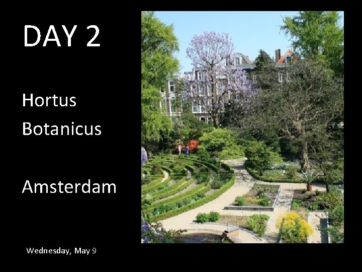 DAY 2 Hortus Botanicus Amsterdam Wednesday, May 9 