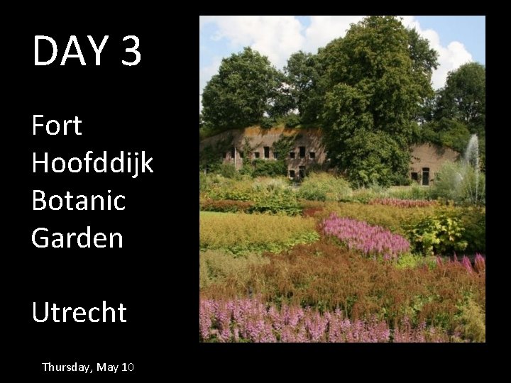 DAY 3 Fort Hoofddijk Botanic Garden Utrecht Thursday, May 10 