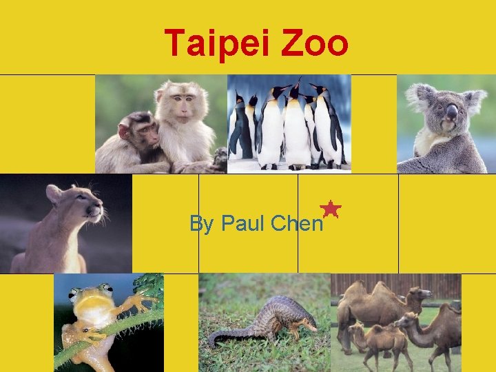 Taipei Zoo By Paul Chen 