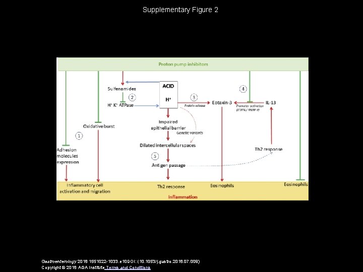 Supplementary Figure 2 Gastroenterology 2018 1551022 -1033. e 10 DOI: (10. 1053/j. gastro. 2018.