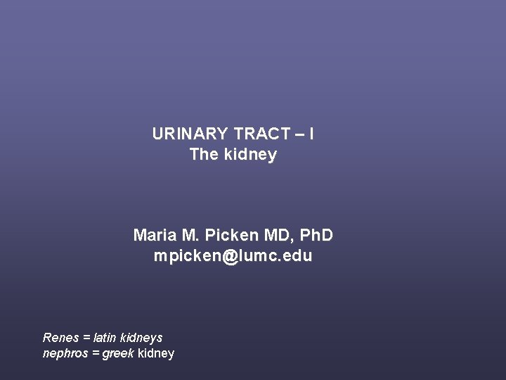 URINARY TRACT – I The kidney Maria M. Picken MD, Ph. D mpicken@lumc. edu