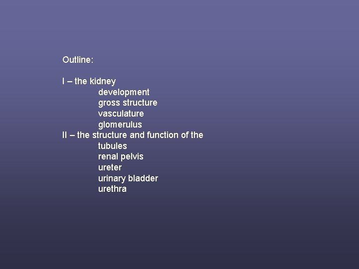 Outline: I – the kidney development gross structure vasculature glomerulus II – the structure