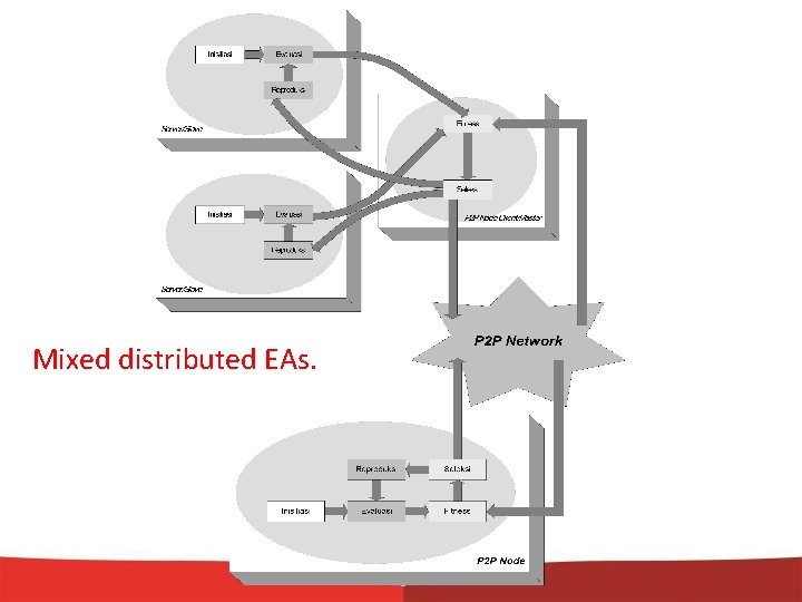 Mixed distributed EAs. 