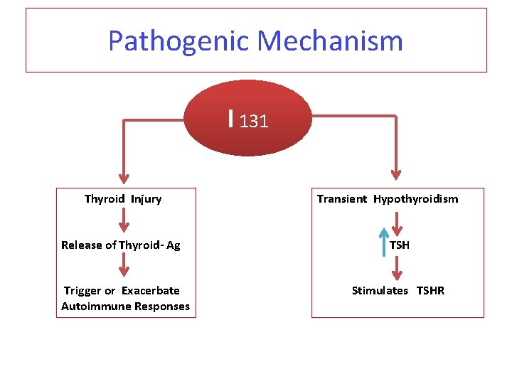 Pathogenic Mechanism I 131 Thyroid Injury Release of Thyroid- Ag Trigger or Exacerbate Autoimmune Pathogenic Mechanism I 131 Thyroid Injury Release of Thyroid- Ag Trigger or Exacerbate Autoimmune