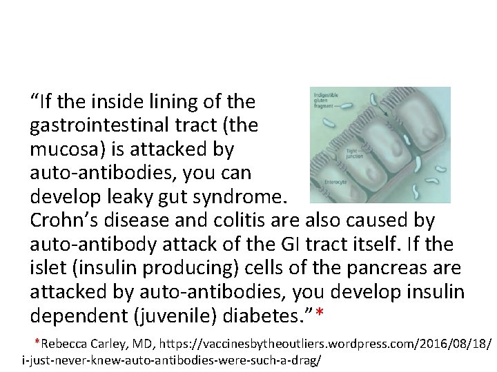 “If the inside lining of the gastrointestinal tract (the mucosa) is attacked by auto-antibodies,