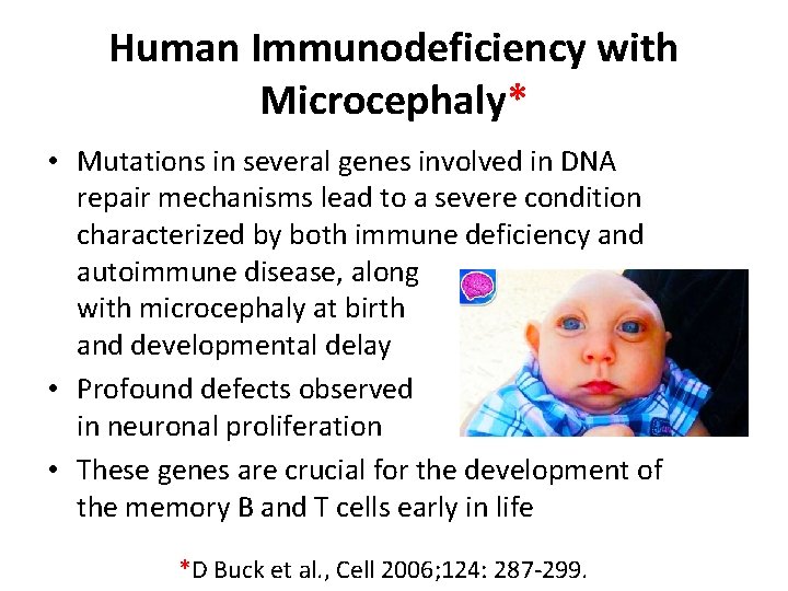 Human Immunodeficiency with Microcephaly* • Mutations in several genes involved in DNA repair mechanisms