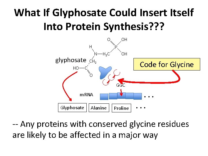 What If Glyphosate Could Insert Itself Into Protein Synthesis? ? ? glyphosate Code for