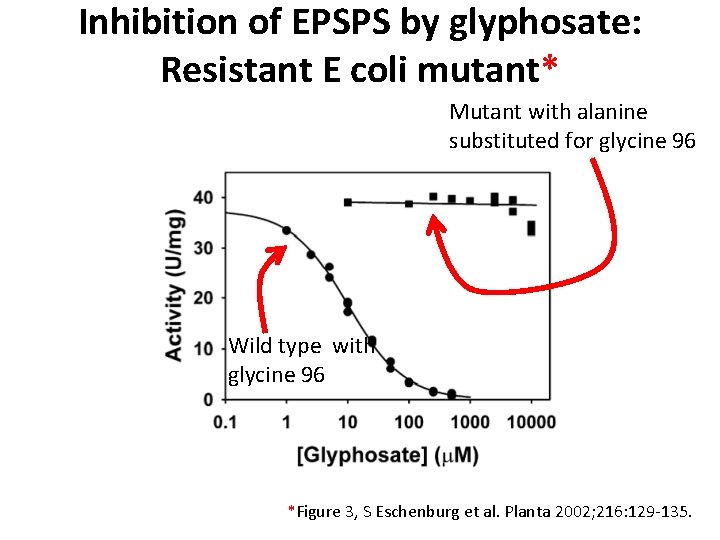 Inhibition of EPSPS by glyphosate: Resistant E coli mutant* Mutant with alanine substituted for