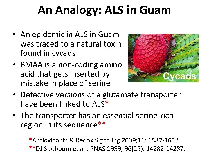 An Analogy: ALS in Guam • An epidemic in ALS in Guam was traced