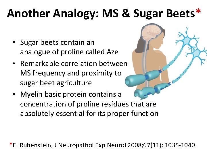 Another Analogy: MS & Sugar Beets* • Sugar beets contain an analogue of proline
